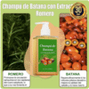 2X1 CHAMPÚ JINMAO ACEITE DE BATANA CON EXTRACTO DE ROMERO 300ML