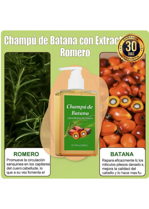 2X1 CHAMPÚ JINMAO ACEITE DE BATANA CON EXTRACTO DE ROMERO 300ML